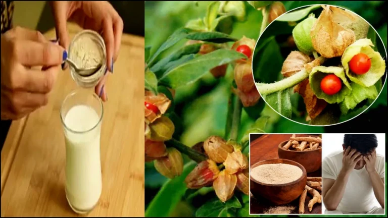 how to use ashwagandha powder in telugu