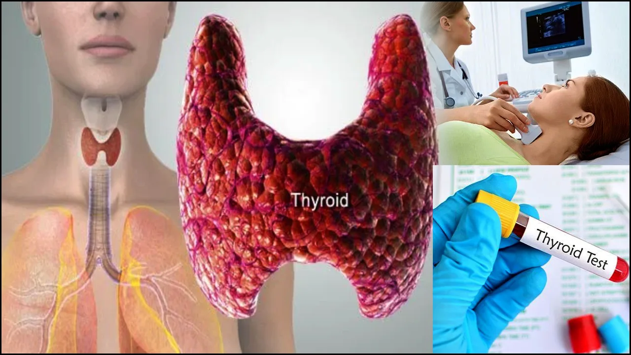 Is thyroid disease dangerous, how can be cured with treatment