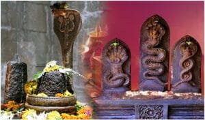 kala sarpa dosha nivarana remedies in telugu