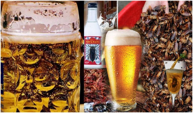 Cockroaches Beer People drink beer made from Male cockroaches, prepared by rotting cockroaches in Japan