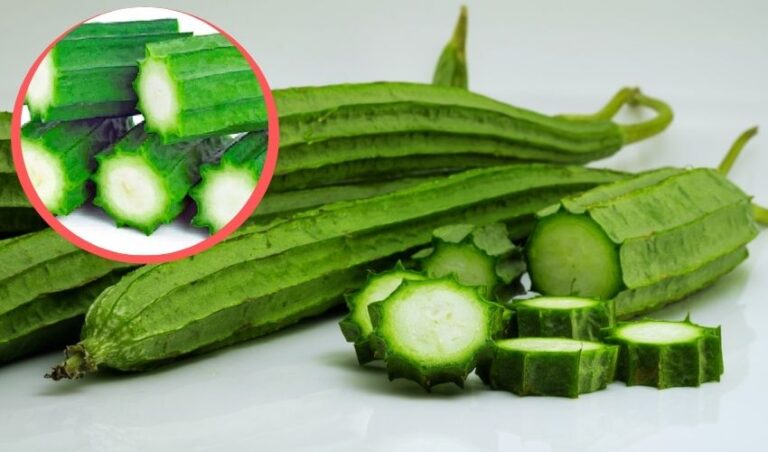 Luffa Health Benefits Luffa Ridge Gourd Health Benefits Even Drink Alcohol