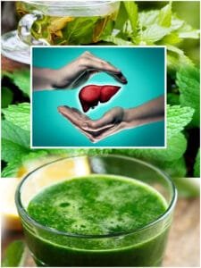 Mint Detox Liver Your Liver In Danger Mint Detox The Liver in Telugu Cover Page