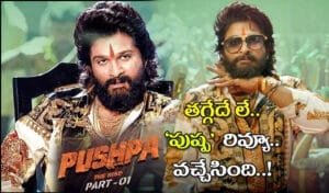 Pushpa-Movie-Review-Allu-Ar