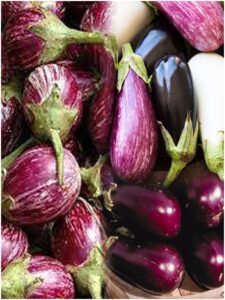 Brinjal Health Benefits Is Brinjal Good for Health, Who can Eat What not eat, What are health benefits in this Vegetable