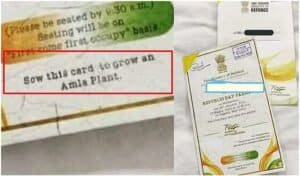 Republic Amla Plant