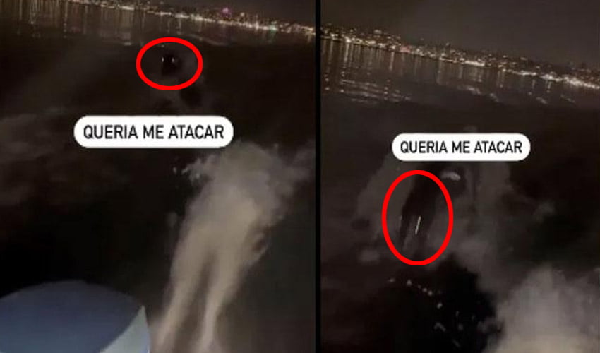 Terrifying Viral Video Mysterious sea creature with glowing eyes chases fisherman on speedboat