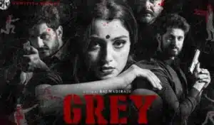 Grey Telugu Movie 2022 Press Meet