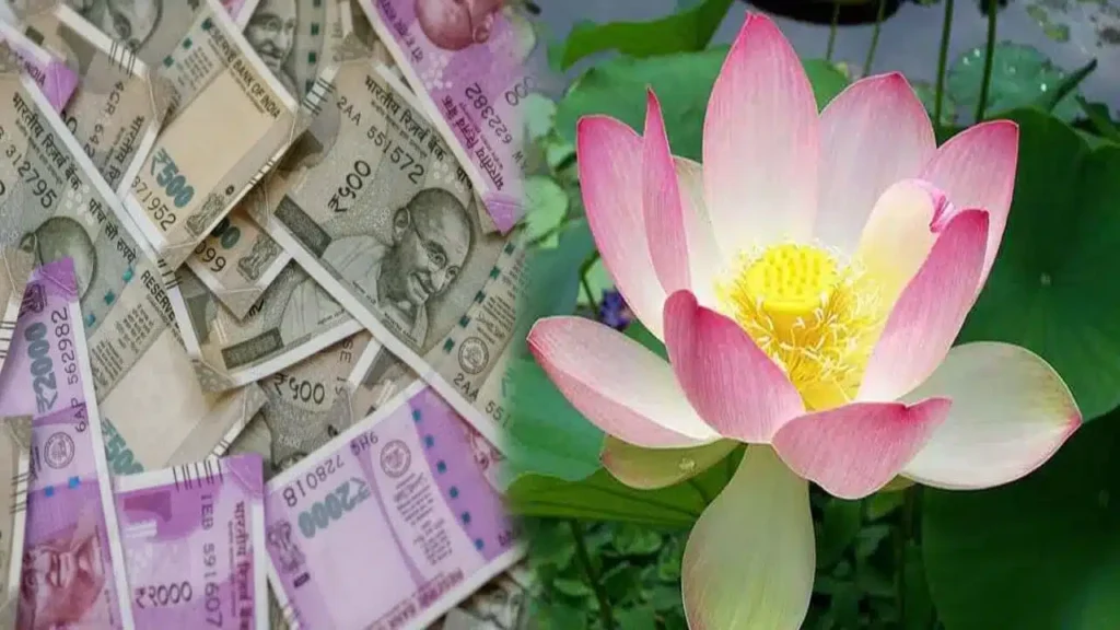 astrology-tips-to-avoid-financial-crisis