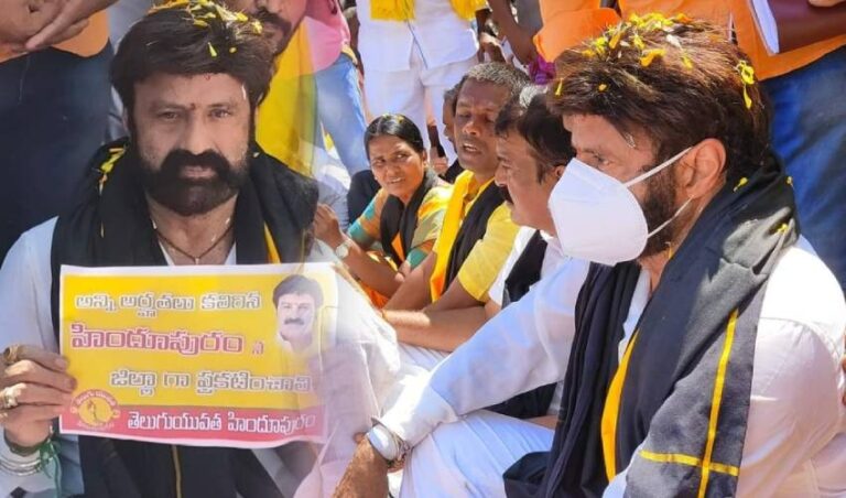 mla-nandamuri-balakrishna-fires-on-ap-governament-about-new-districts-issue