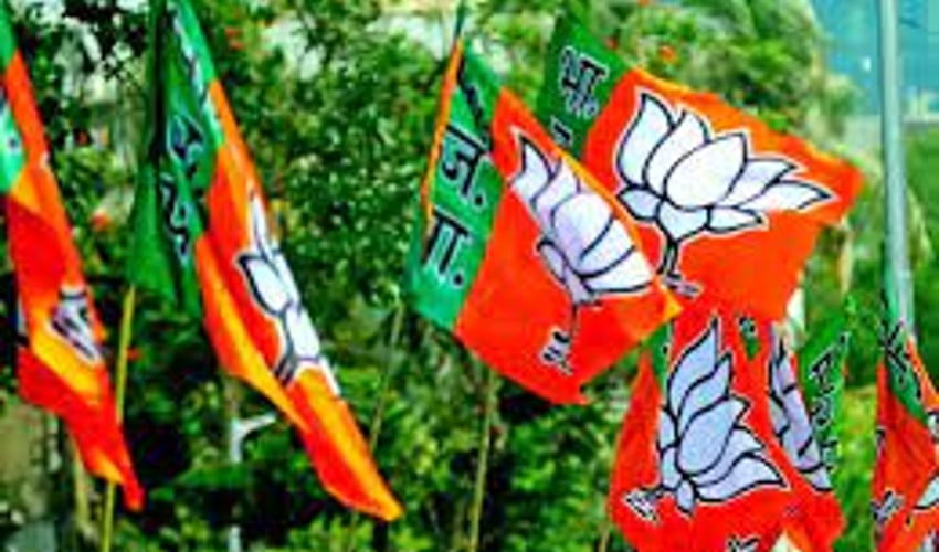 Saffron Flag May Become National Flag In Future