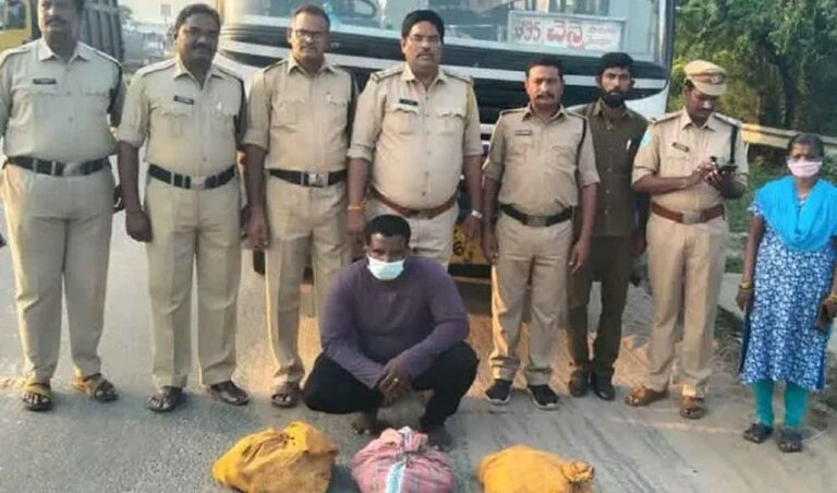 tamilnadu-police-arrested-in-nellore-for-smuggling-star-tortoises