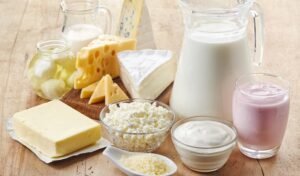 Protein Rich Foods