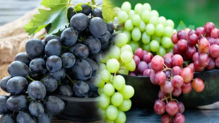 issues-by-having-grapes in telugu