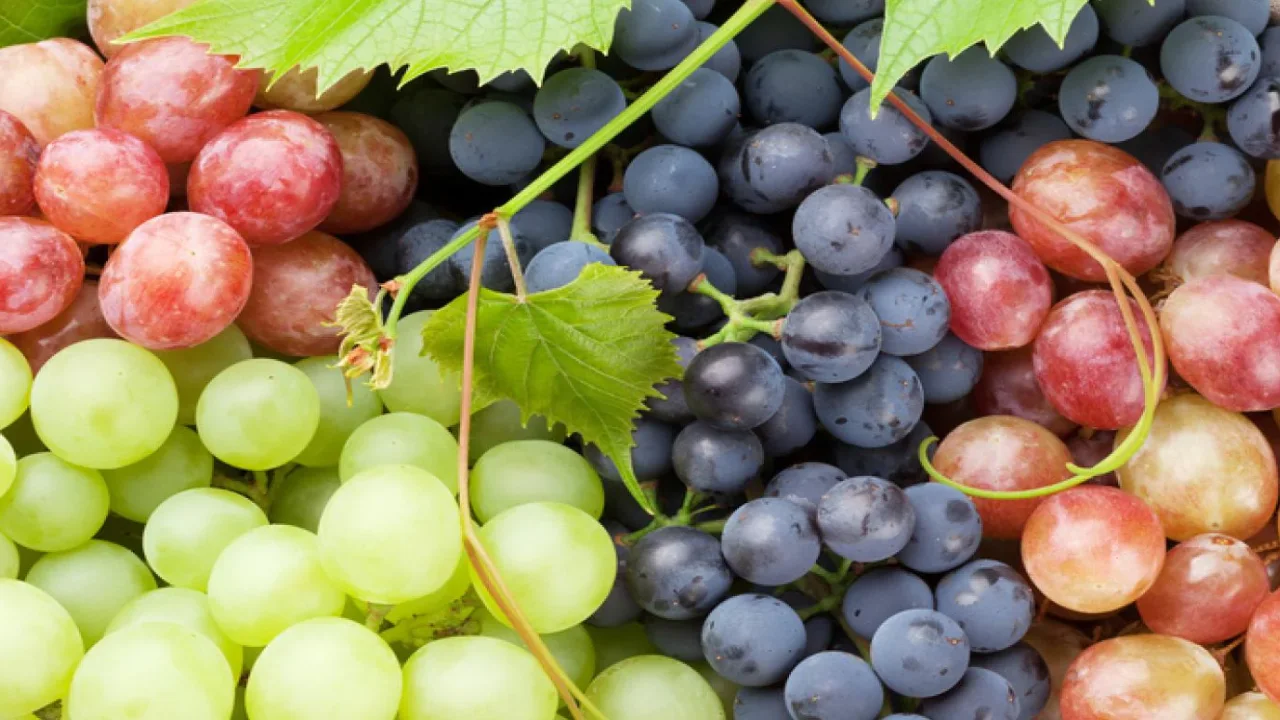 issues-by-having-grapes in telugu
