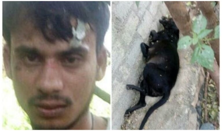 man-raped-dog-in-hyderabad-know-full-details-about-it