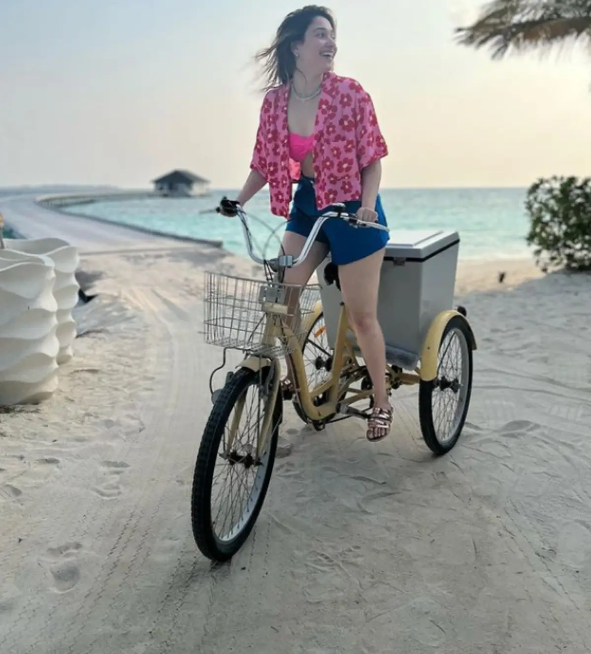 Tamannaah Bhatia to rise Heat Internet with Bold Pink Bikini Her Maldives Vacation