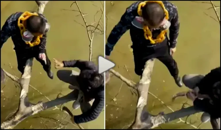 Two Naughty Guys cutting Tree branch Funny Video Viral, You Can't stop Laugh