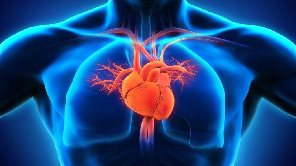 these-blood-type-and-groups-are-high-risk-of-heart-attack-in-telugu