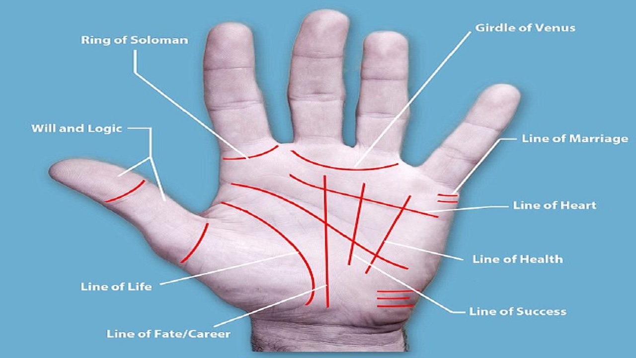 Palmistry