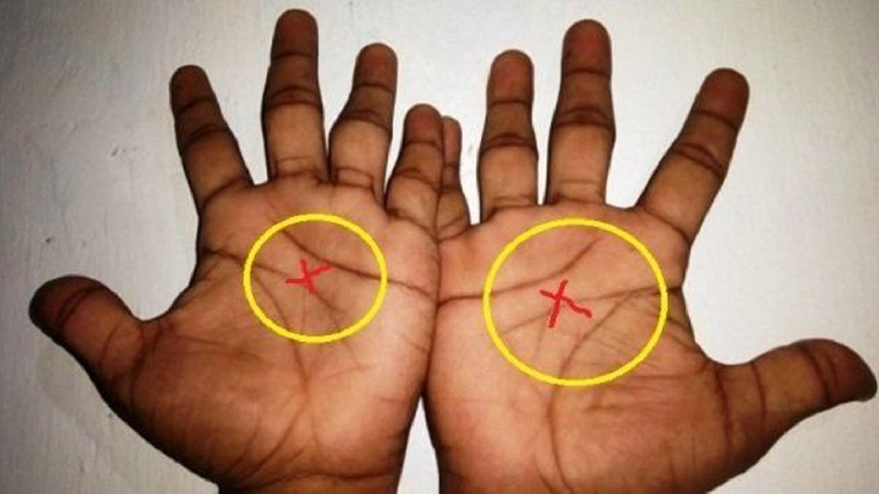 do-you-have-this-type-of-symbol-on-your-palms-in-telugu