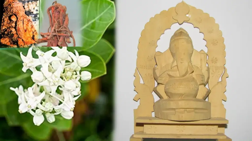 ganapathhi-pooja-tellajilledu-veruto-chesina-ganapathi-pooja-appula-badhalu-pothayi