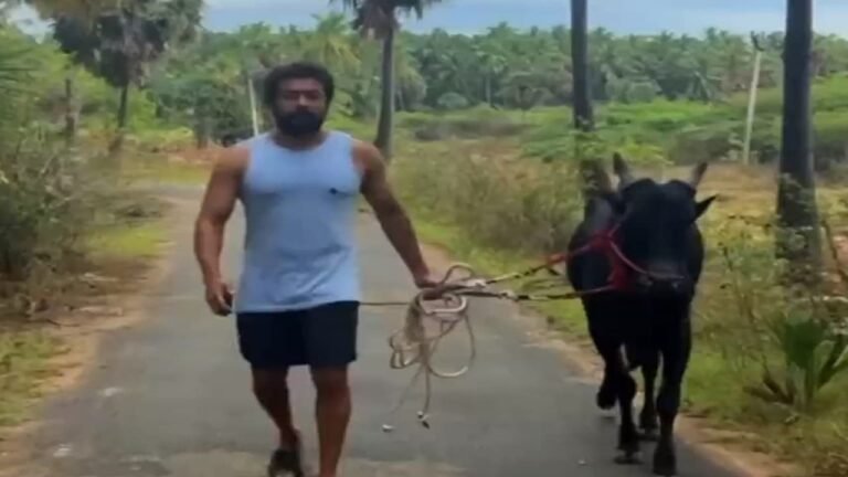 Hero Surya Wishes