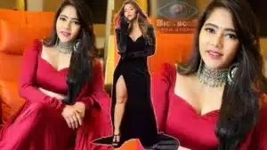 Bigg Boss Non Stop _ Bigg Boss Mitraaw Sharma to be continued in House This Week, hamida elimination This Week