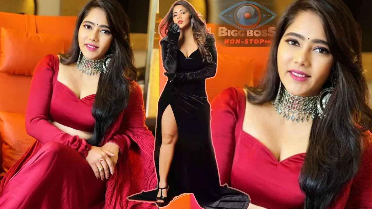 Bigg Boss Non Stop _ Bigg Boss Mitraaw Sharma to be continued in House This Week, hamida elimination This Week