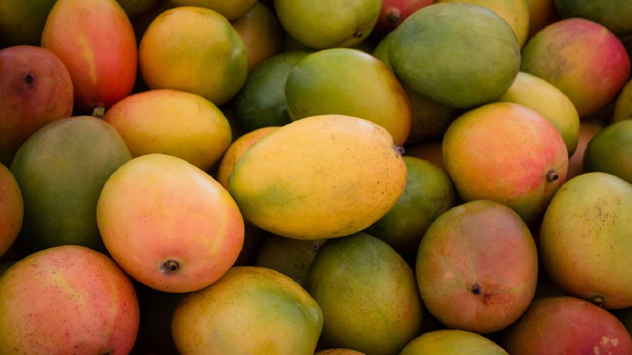 How to know with out ues of chemical mangoes are identify