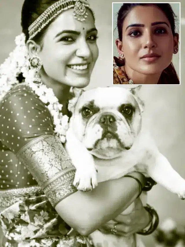 అదే జరిగితే.. నేను అదృష్టవంతురాలిని.. సమంత ట్వీట్!