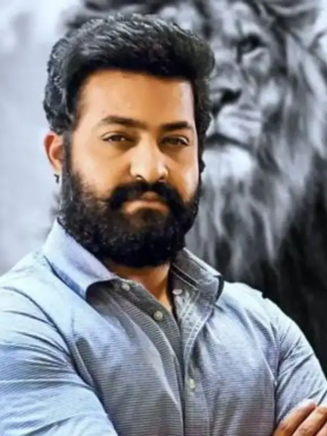 జూ.ఎన్టీఆర్ బ్లాక్ బస్టర్ మూవీలు ఇవే..!