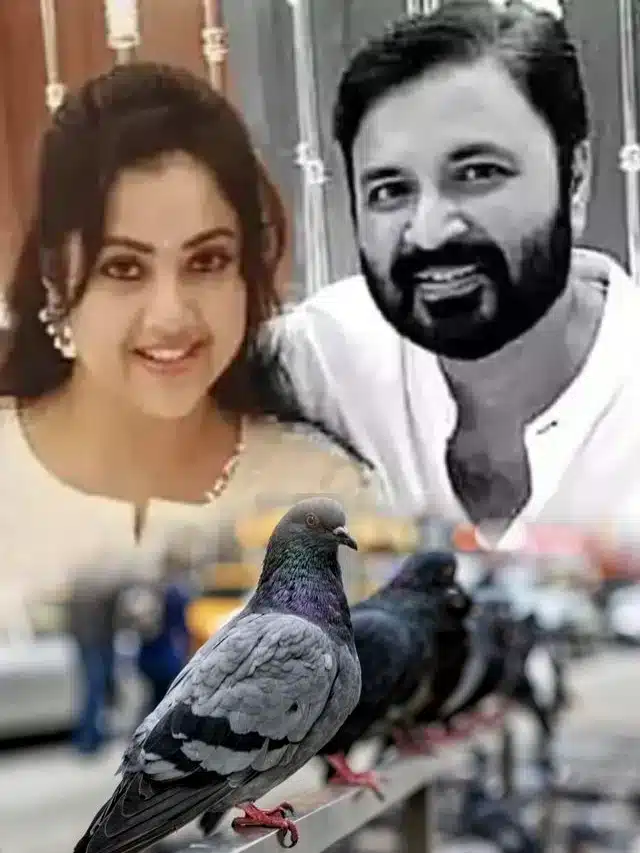 సినీనటి మీనా భర్త మృతికి పావురాలే కారణమా..?