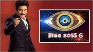 Big Boss 6
