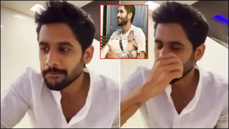 Actor Naga chaitanya Emotional Post Goes Viral In Social Media