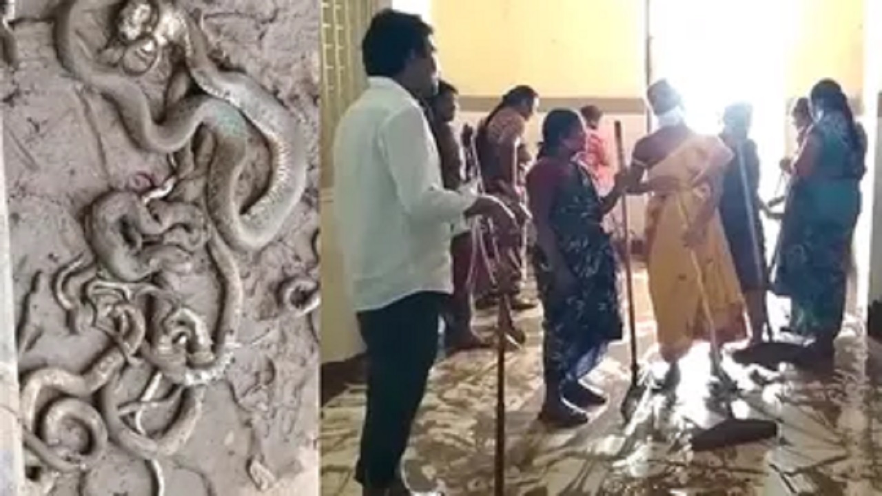 Hundreds of snakes in mancherial government hospital