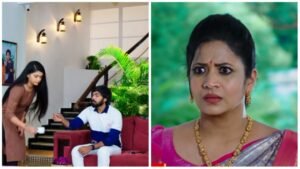 Nirupam and Sourya have a conversation as per Hima's plan in todays karthika deepam serial episode