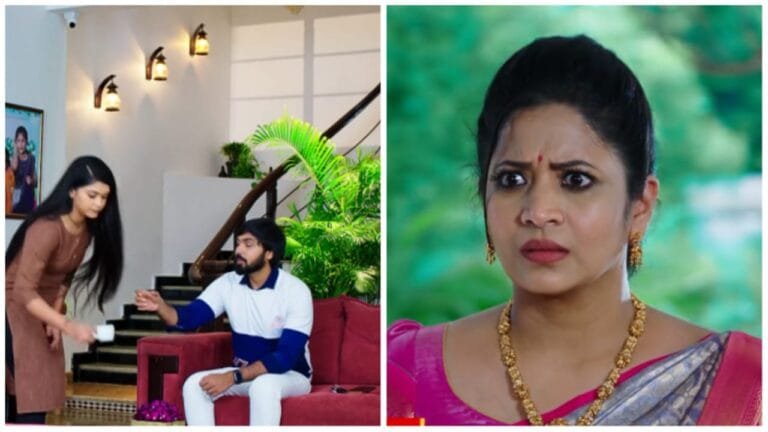 Nirupam and Sourya have a conversation as per Hima's plan in todays karthika deepam serial episode