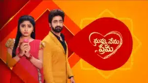 Nuvvu Nenu Prema Serial July 19 Today Episode