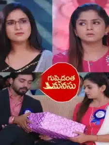 Vasudhara express love for rishi in Guppedantha Manasu Serial July 30 Tody Episode