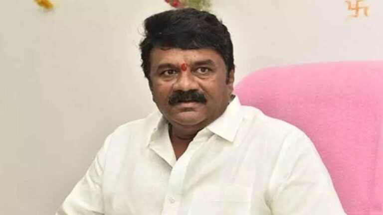 Minister talasani srinivas yadav warning to BJP..