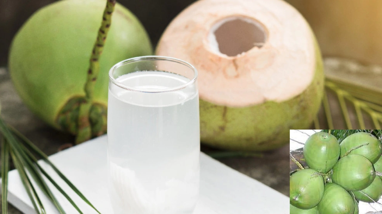 Benifits Of Coconut Water