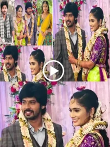 TV Actors Amardeep And Tejaswini Gowda Engagement Video Viral