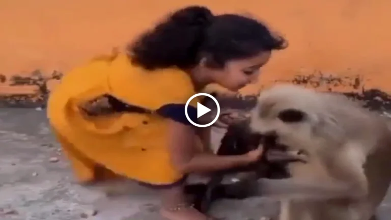 baby-and-monkey-fighting-for-baby-monkey-video-goes-viral