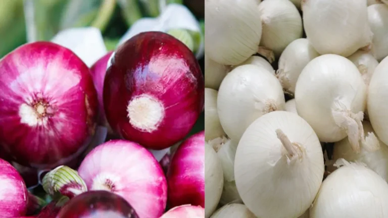 Onion Health Benefits : Red Onion And White Onion Health Benefits in Telugu