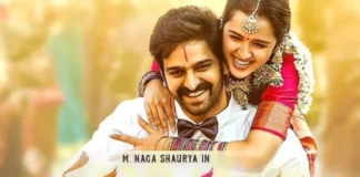 Naga Shaurya's Krishna Vrinda Vihari Movie Review And Rating
