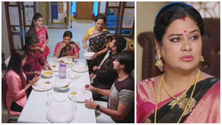 Vasudhara feels elated as Rishi takes care of her in todays guppedantha manasu serial episode