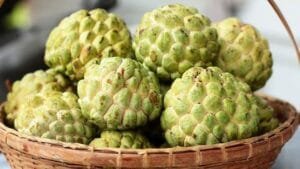 Custard apple health benefits and detials here