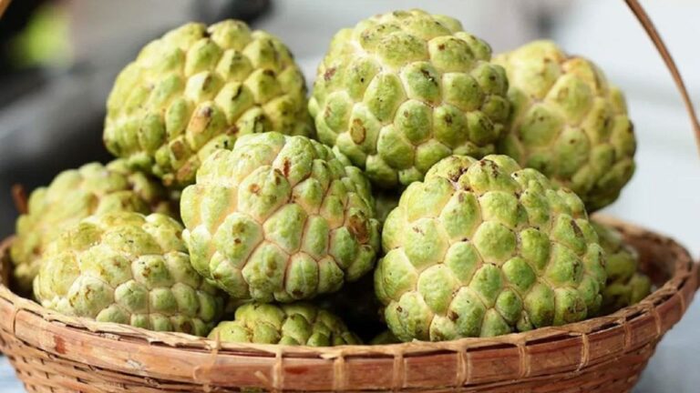 Custard apple health benefits and detials here