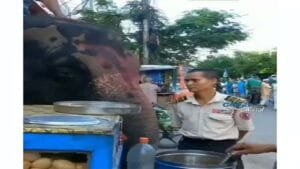 Elephant eats pani puri at roadside stall video goes viral