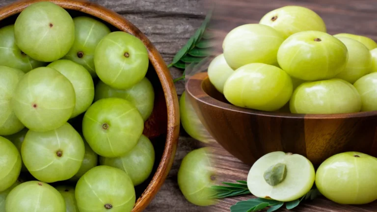 benefits-of-amla-in-winter-season